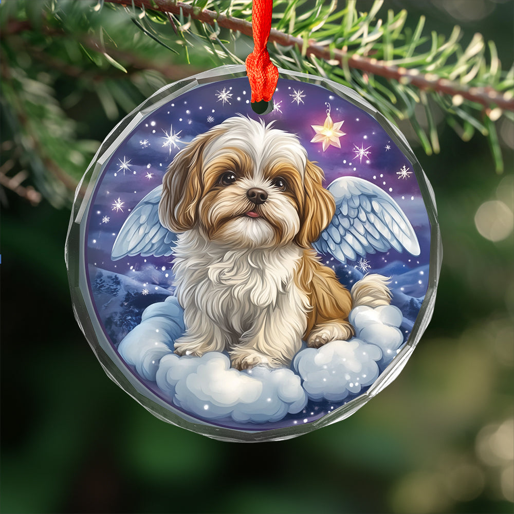 Angel Shih Tzu Dog 4