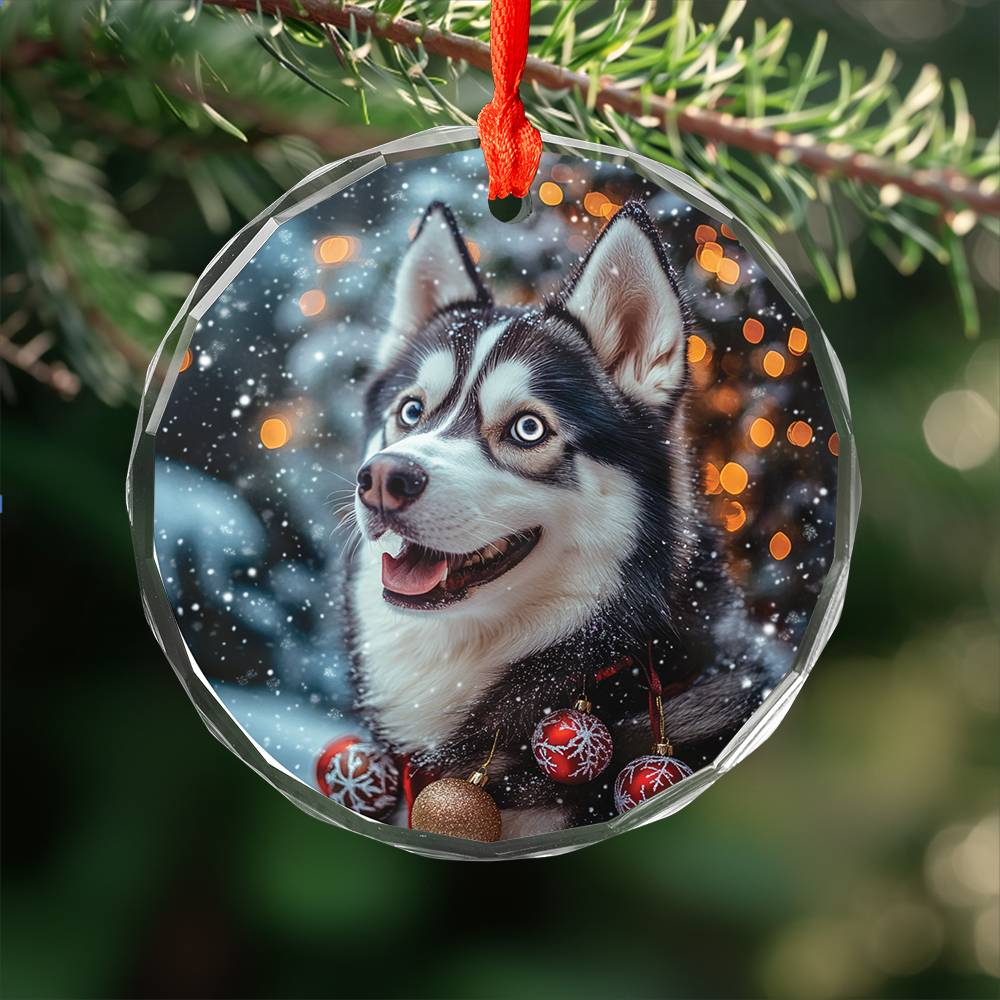 Beautiful Angus Huskie Dog Christmas Night Design 2 Glass Ornament