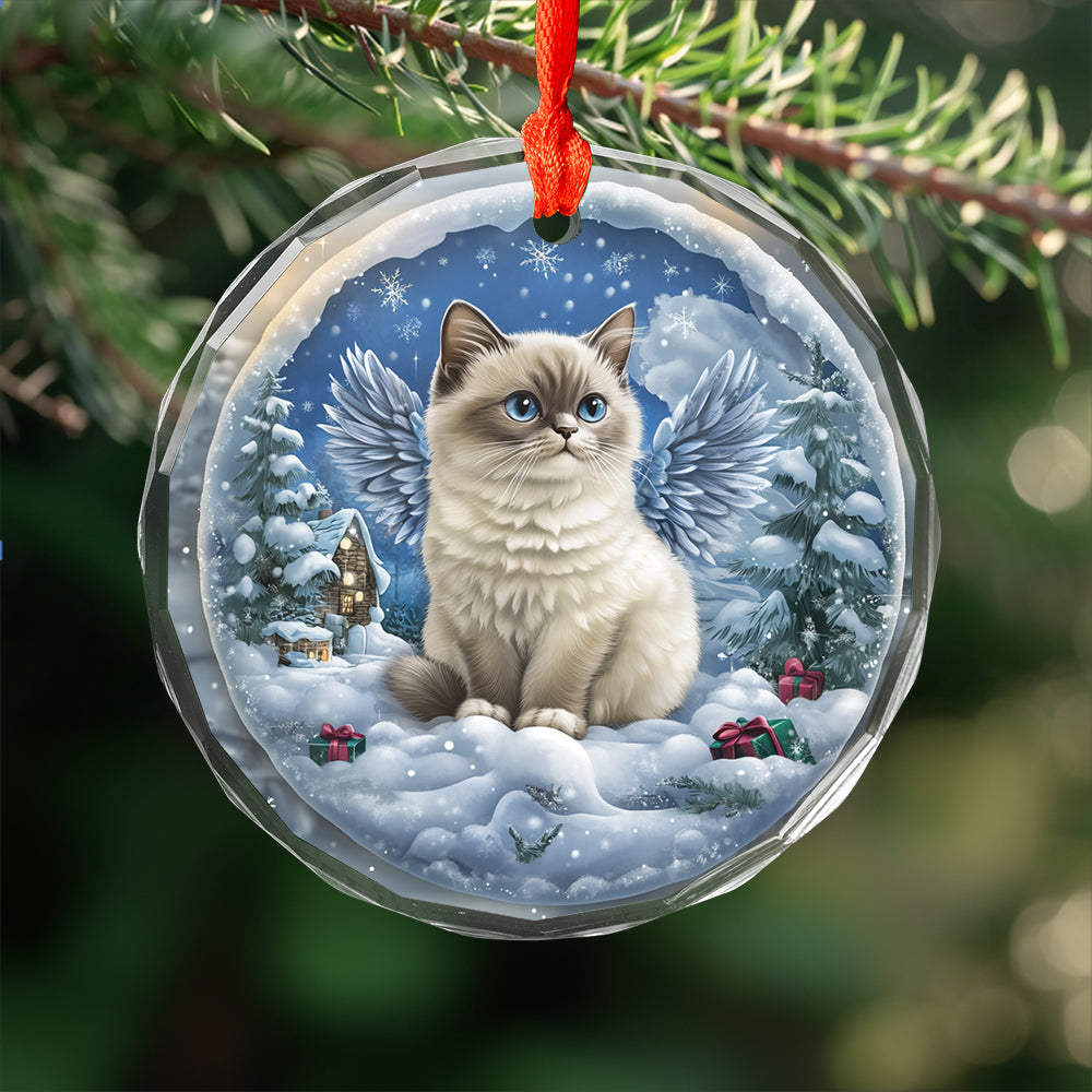 Angel Siamese Cat 2