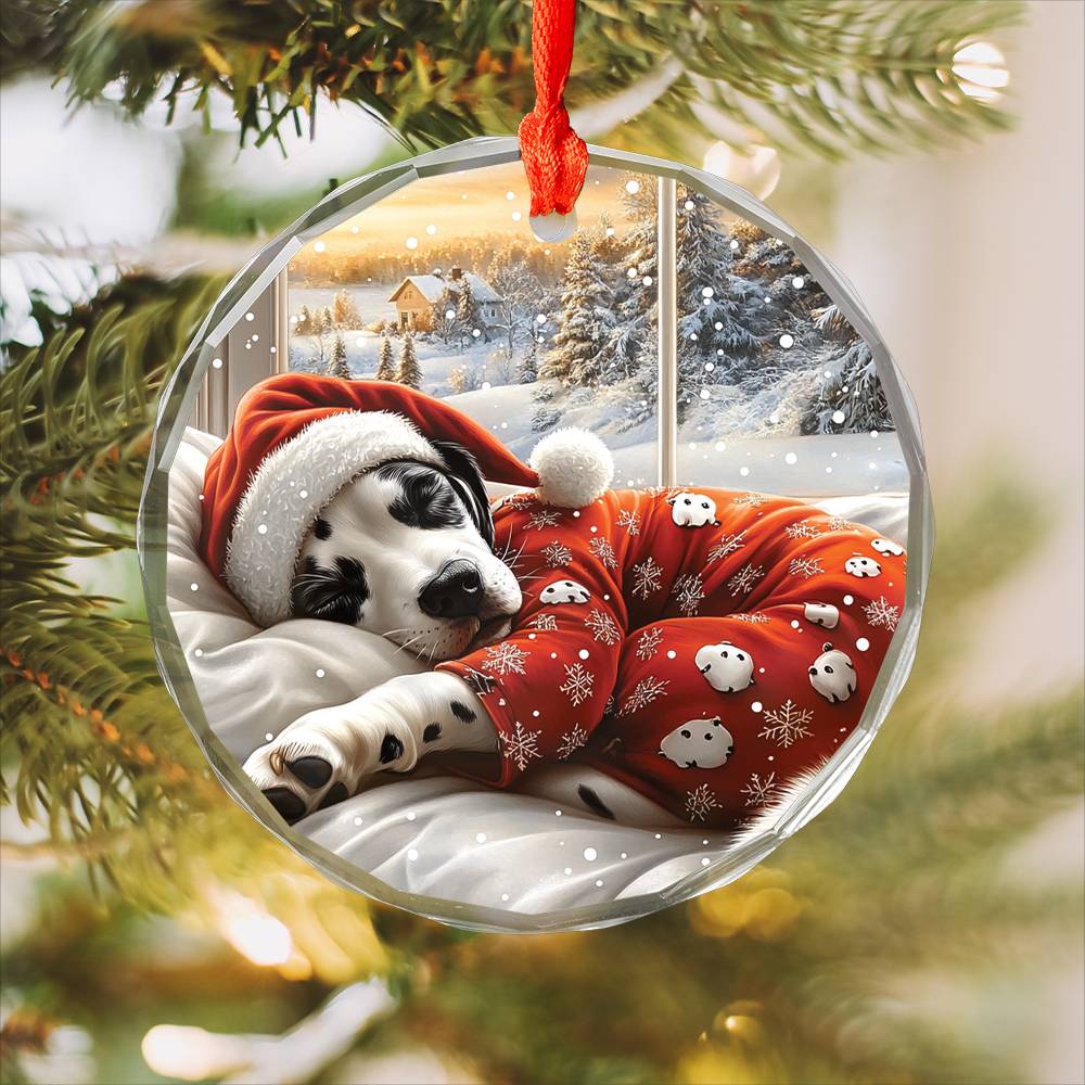 Dalmatian Dog Sleeping In Bed Design 1