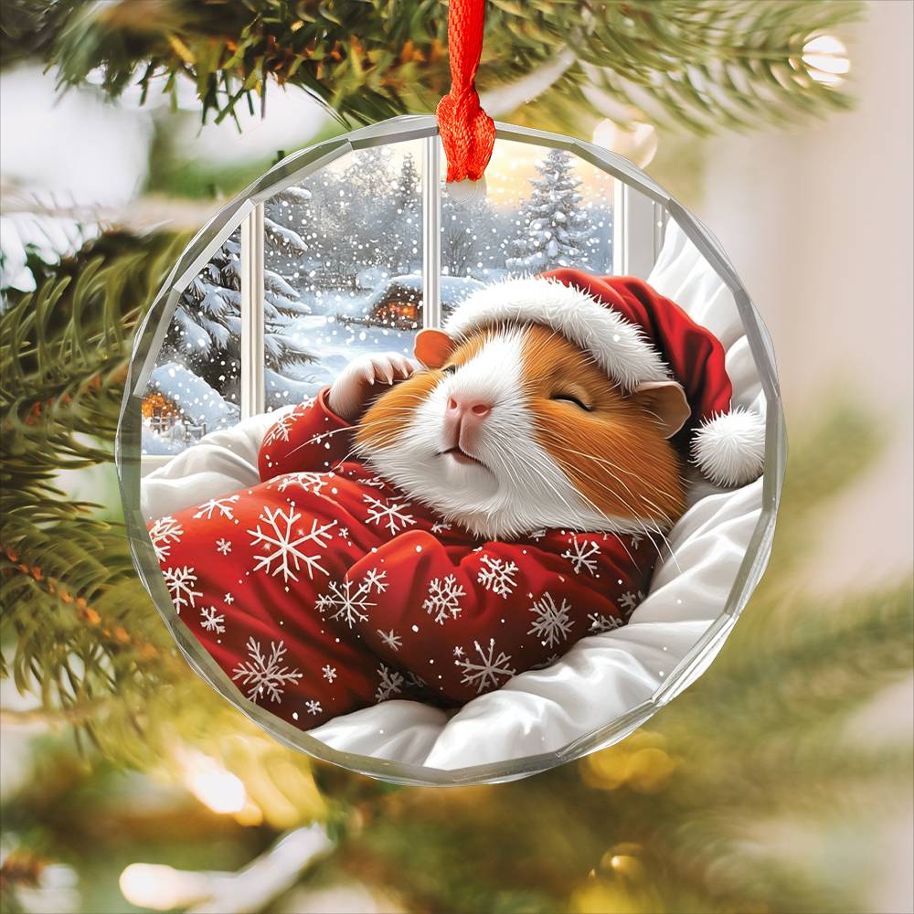 Guinea Pig Sleeping In Bed Design 2