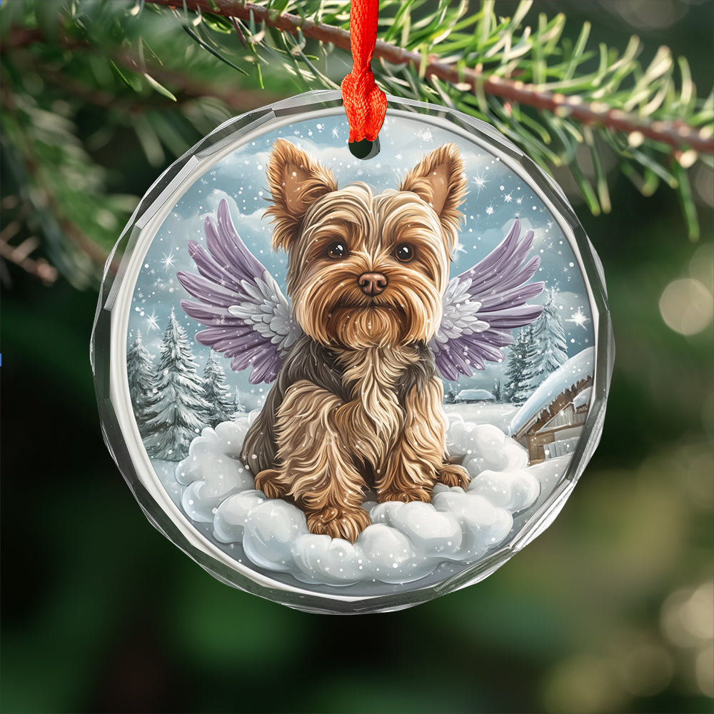 Angel Yorkshire Terrier Dog 2