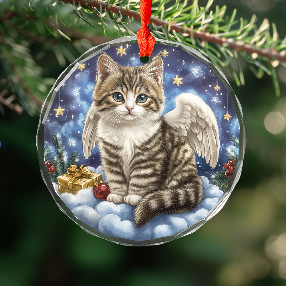 Angel American Shorthair Cat 2
