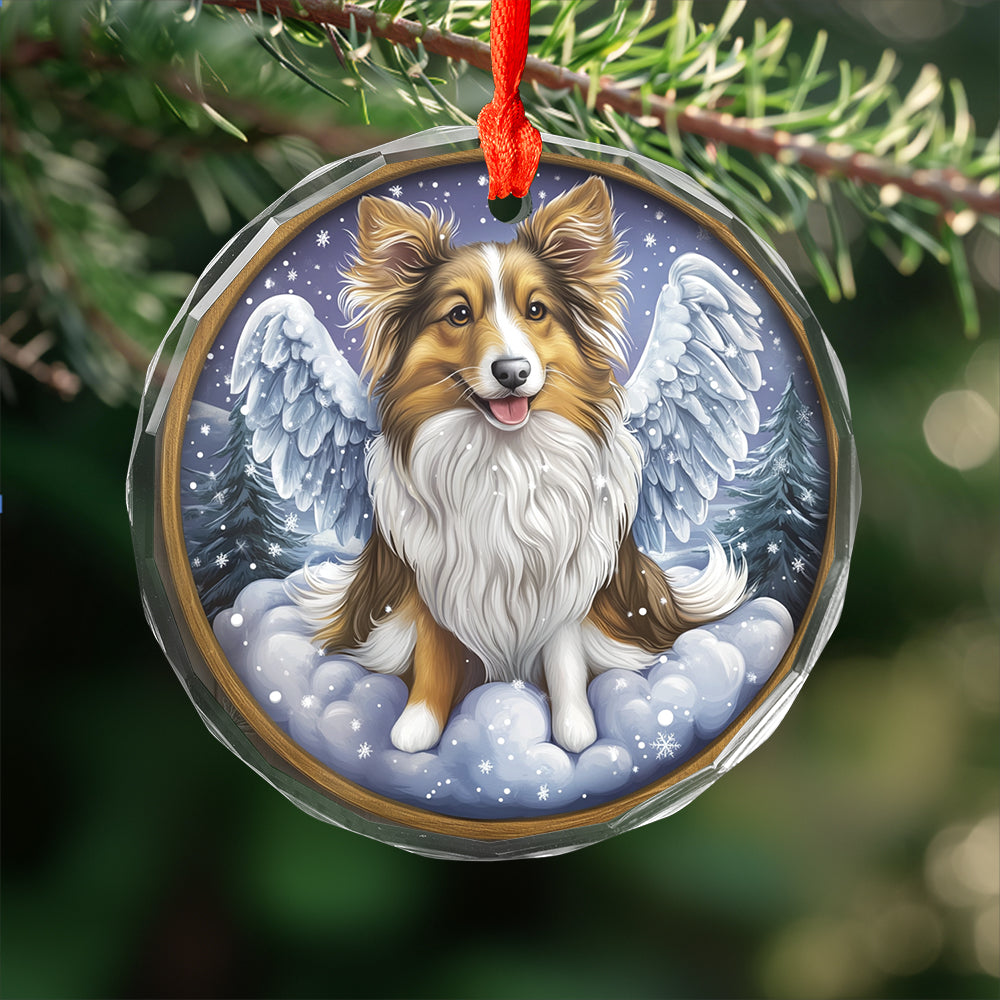 Angel Shetland Sheepdog 3
