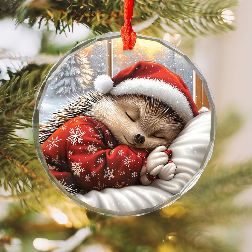 Hedgehog Sleeping In Bed Design 3