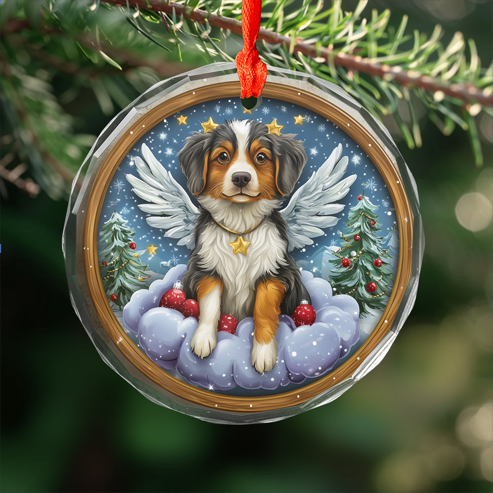Angel Australian Shepherd Dog 3