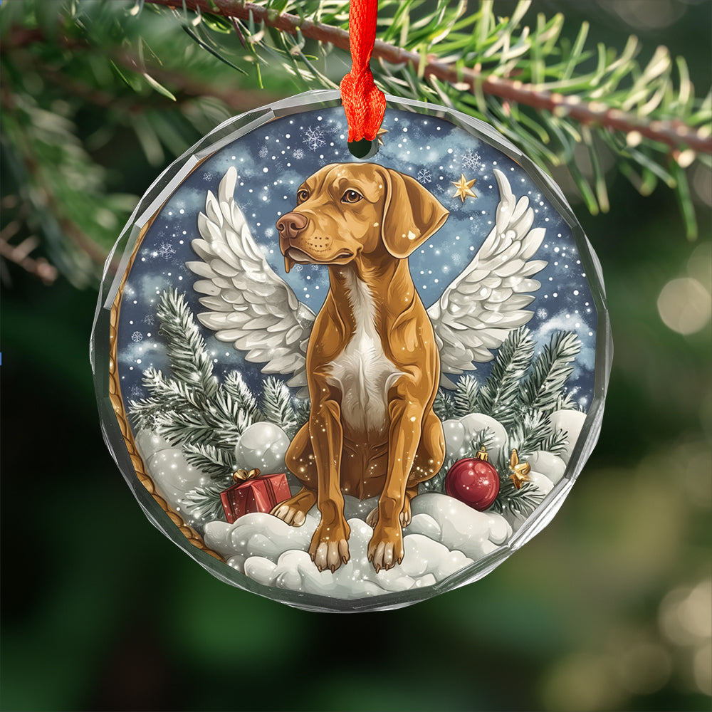 Angel Rhodesian Ridgeback Dog 1