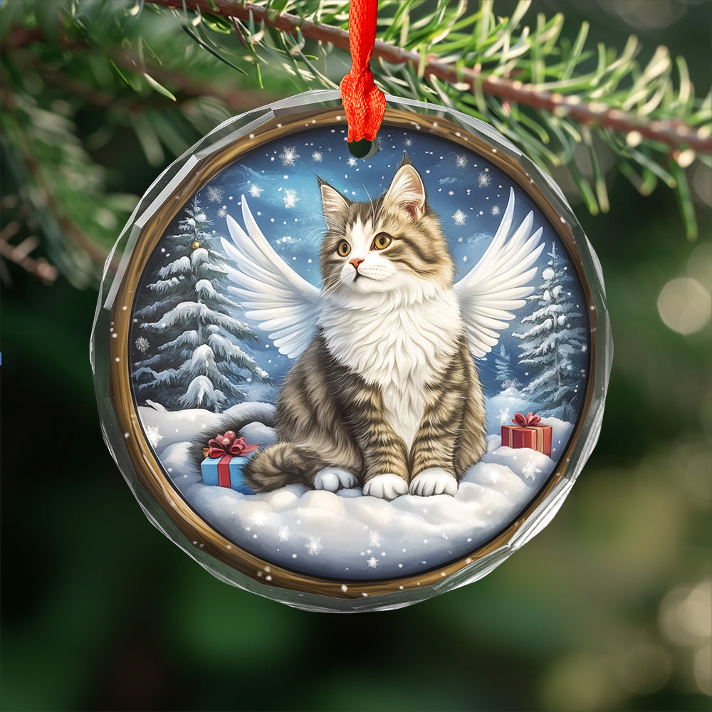 Angel Siberian Cat 3