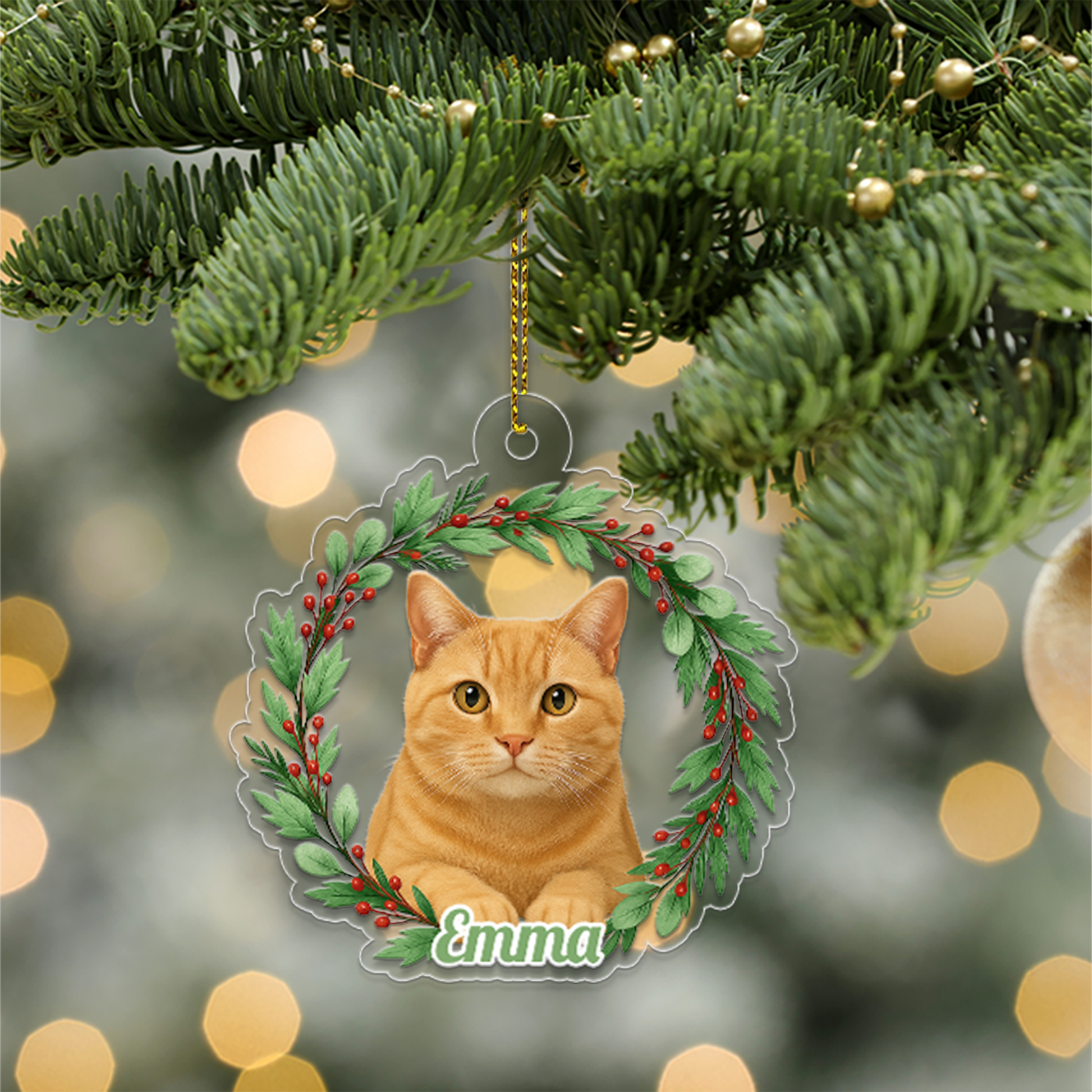Custom Name Cat Xmas