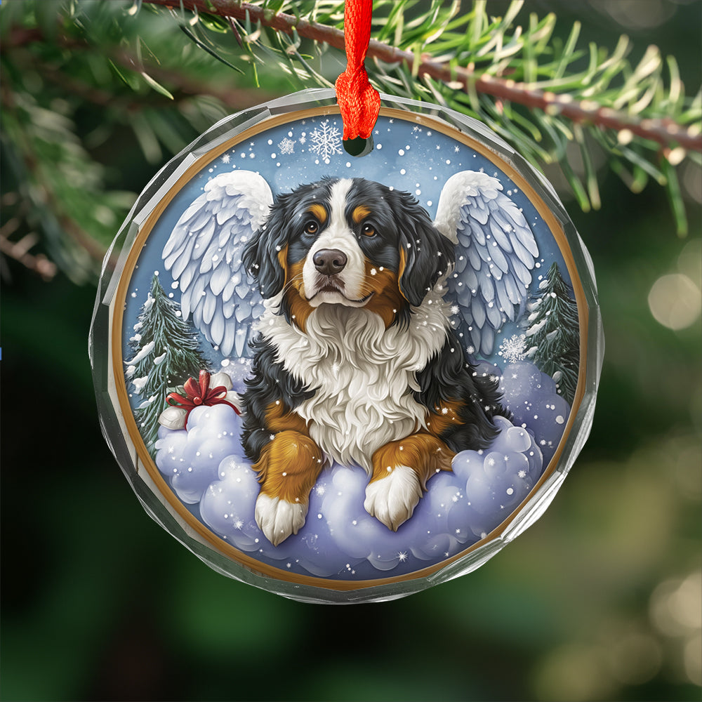 Angel Bernese Mountain Dog 4