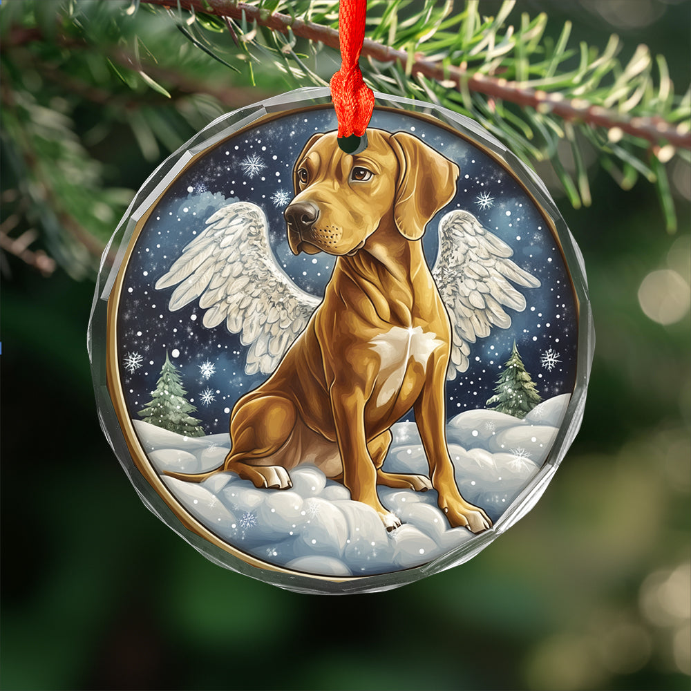 Angel Rhodesian Ridgeback Dog 2