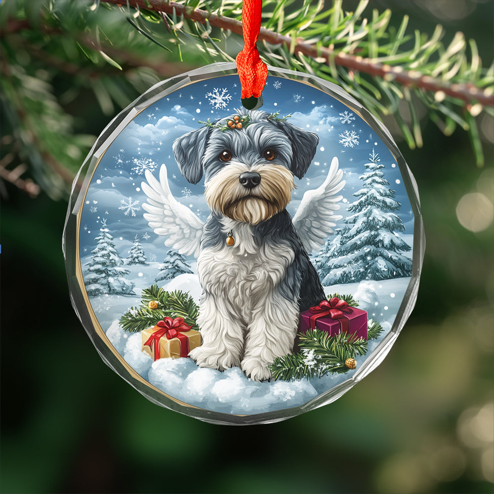 Angel Miniature Schnauzer Dog 4