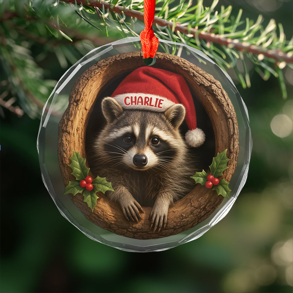 Custom Name Raccoon Xmas