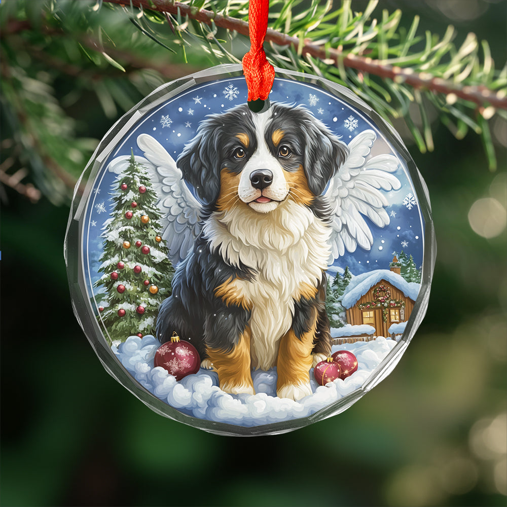 Angel Australian Shepherd Dog 4