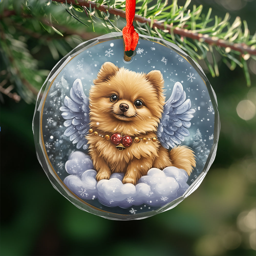 Angel Pomeranian Dog 4
