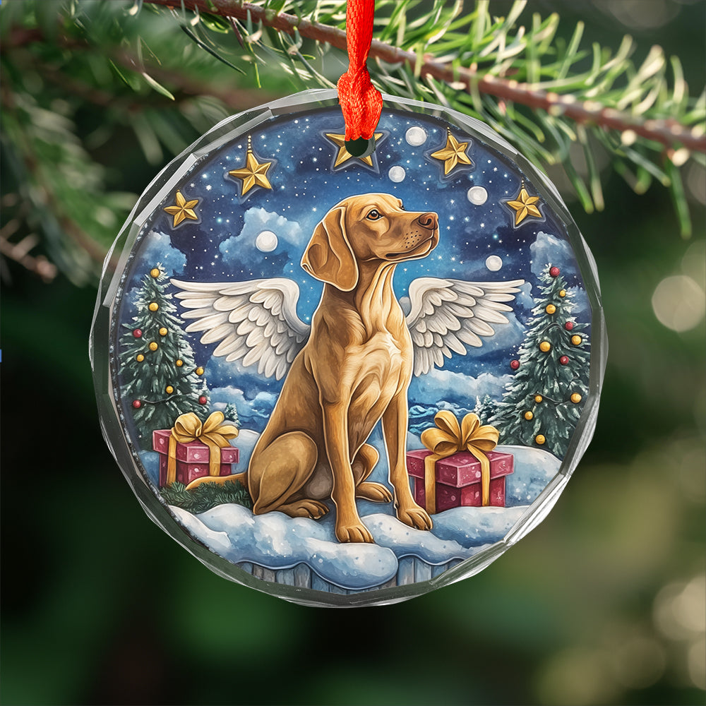 Angel Vizsla Dog 3