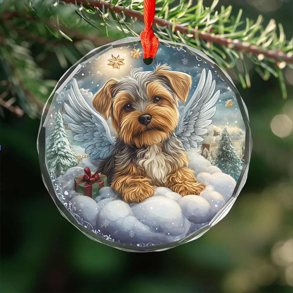 Angel Yorkshire Terrier Dog 1