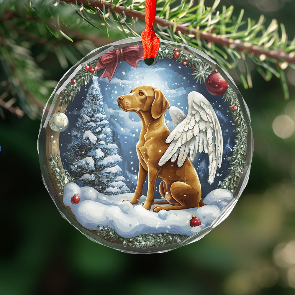 Angel Vizsla Dog 1