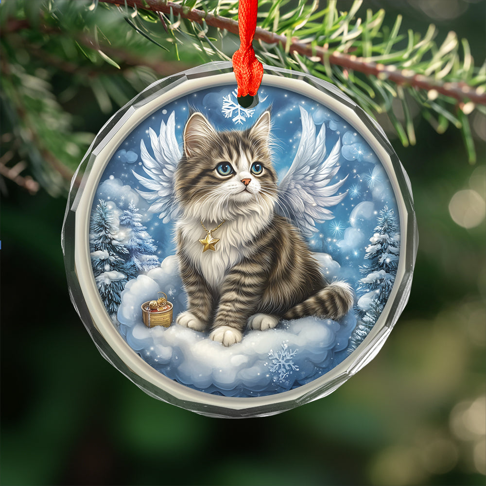 Angel Norwegian Forest Cat 1