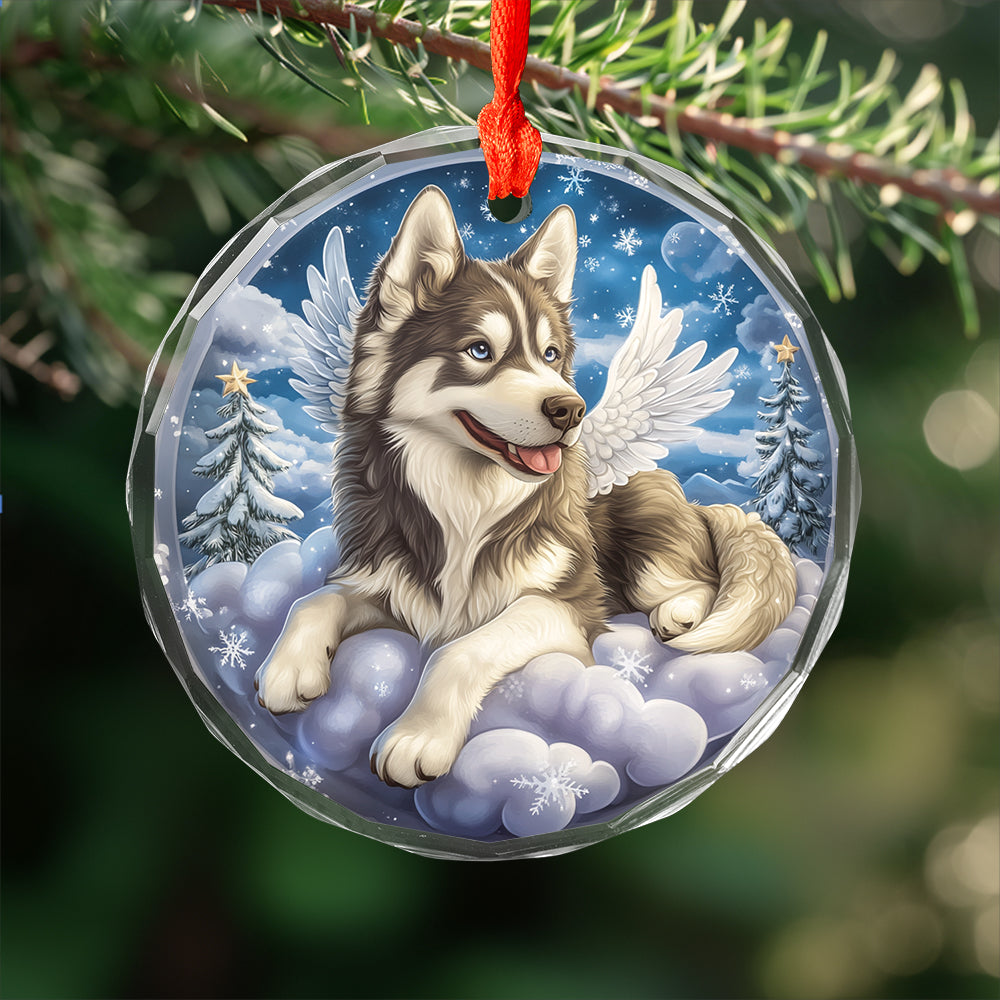 Angel Siberian Husky Dog 1