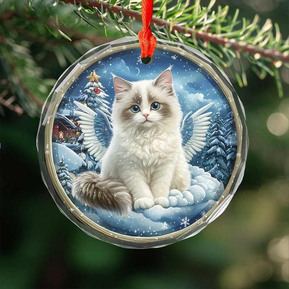 Angel Ragdoll Cat 3