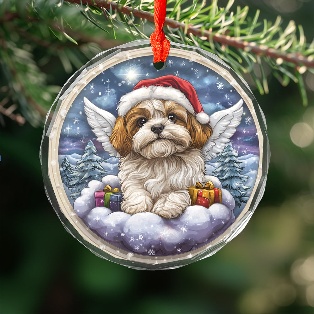 Angel Shih Tzu Dog 3