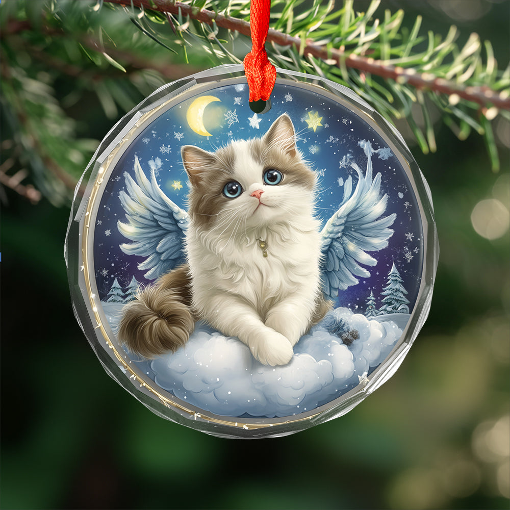 Angel Ragdoll Cat 1
