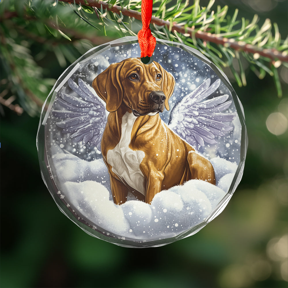 Angel Rhodesian Ridgeback Dog 4
