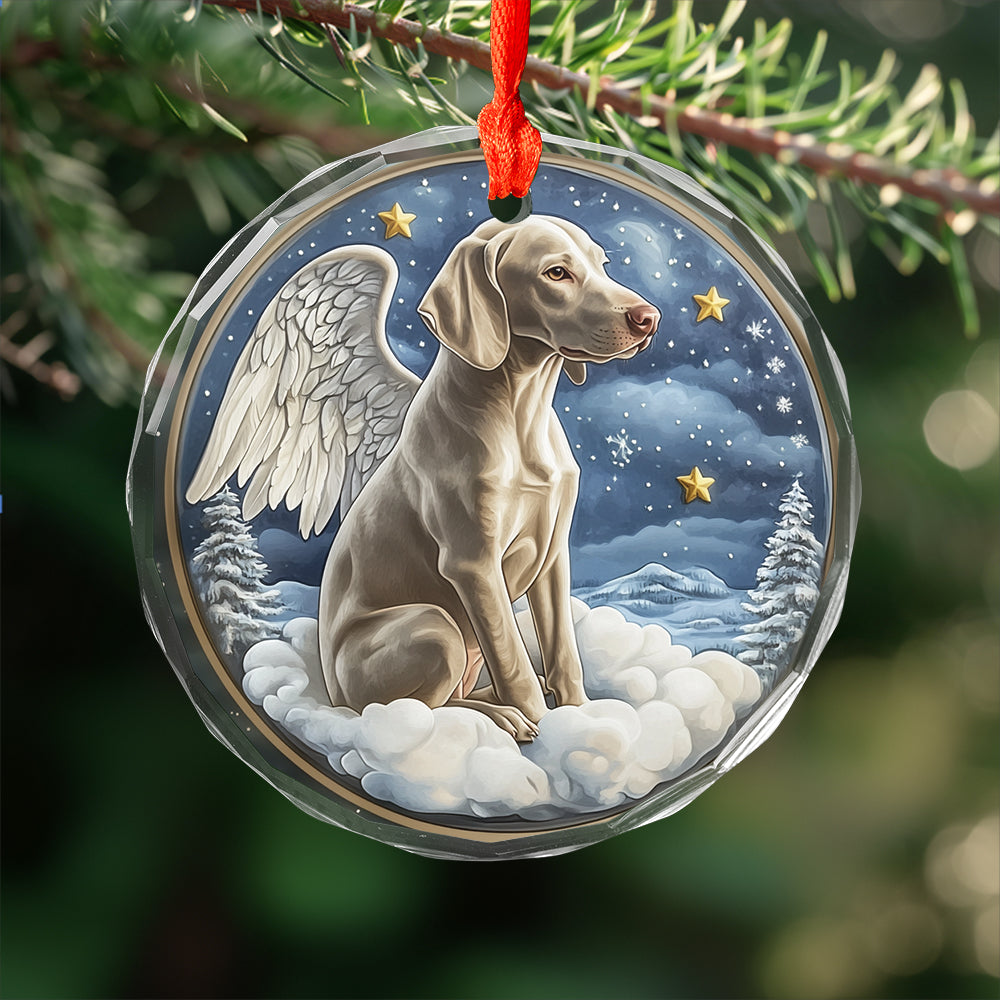 Angel Weimaraner Dog 2