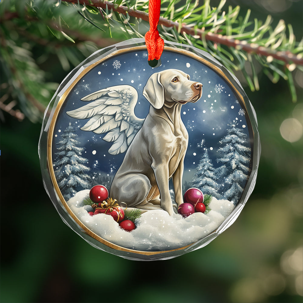 Angel Weimaraner Dog 4