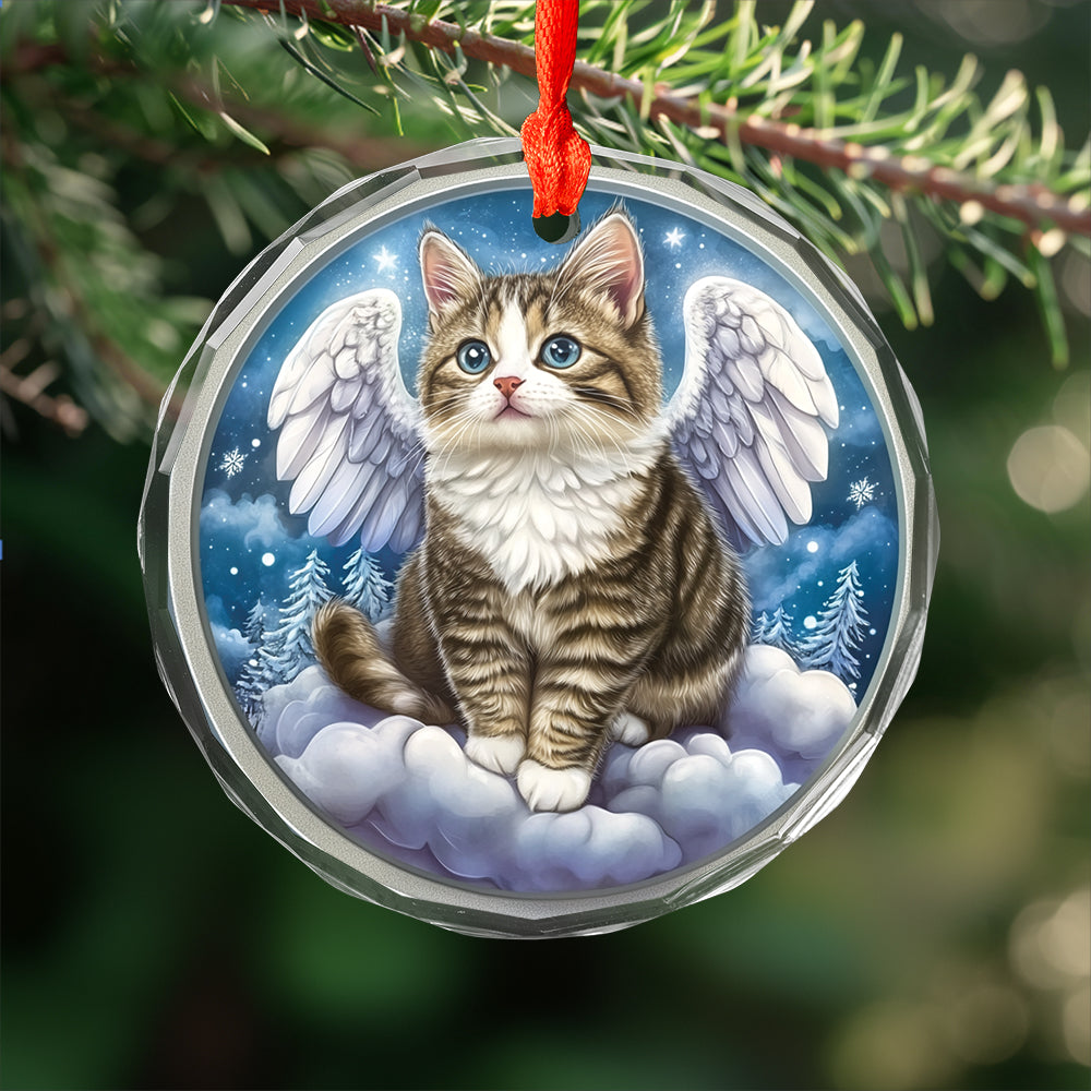 Angel American Shorthair Cat 1