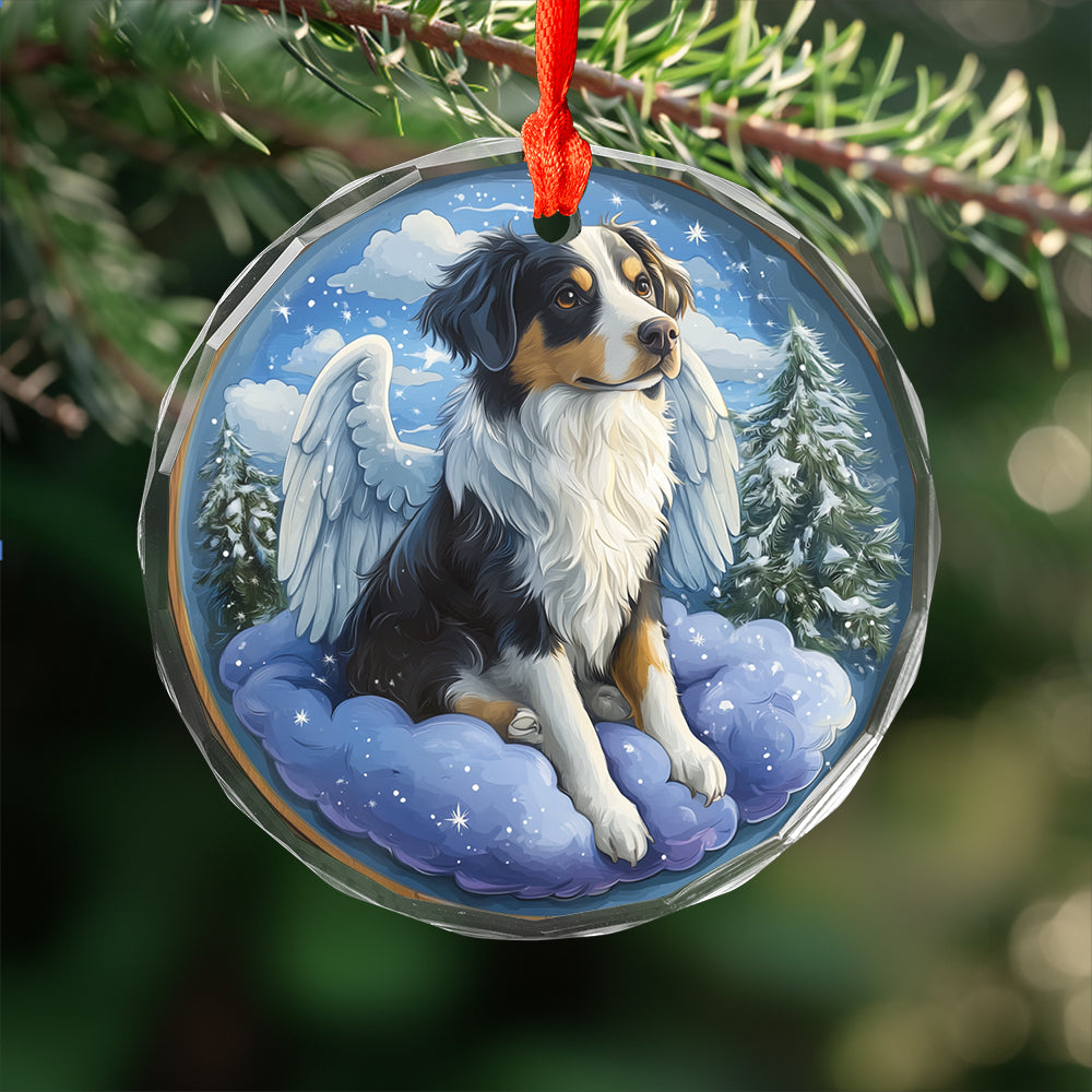 Angel Border Collie Dog 2