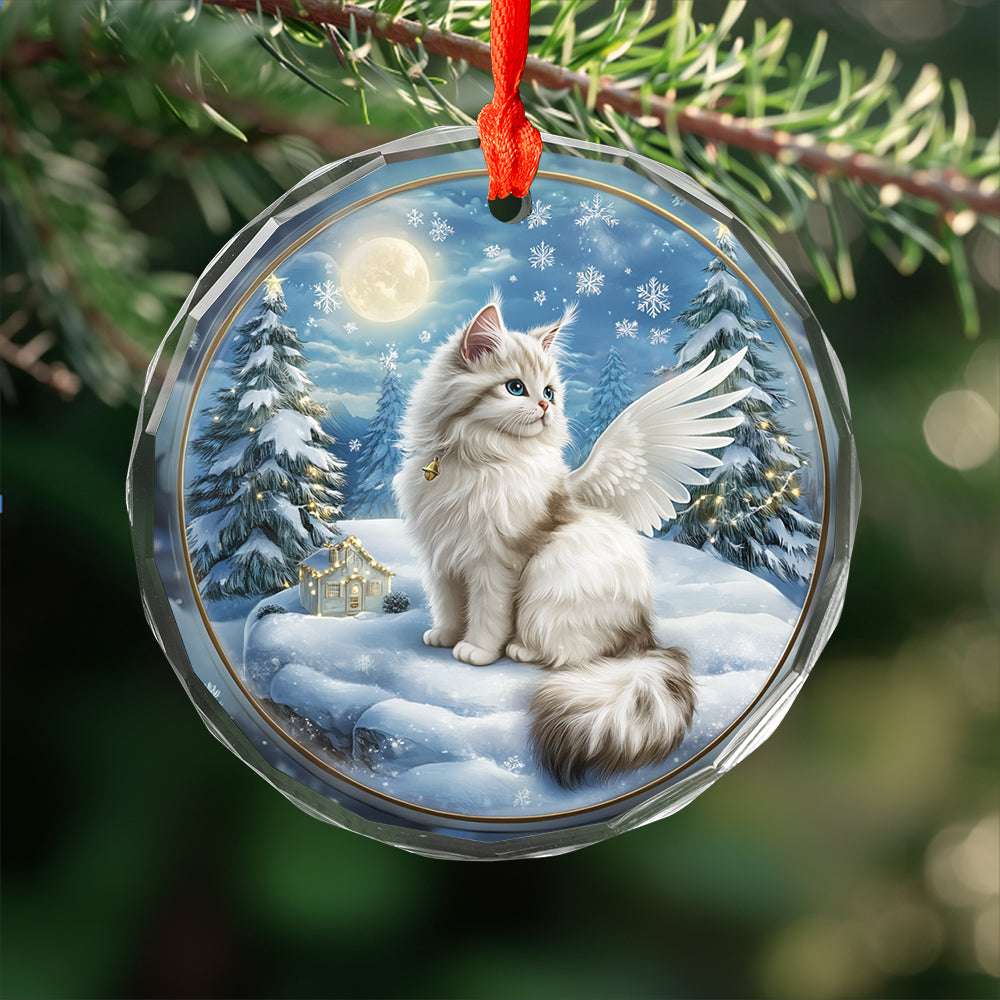 Angel Turkish Angora 4