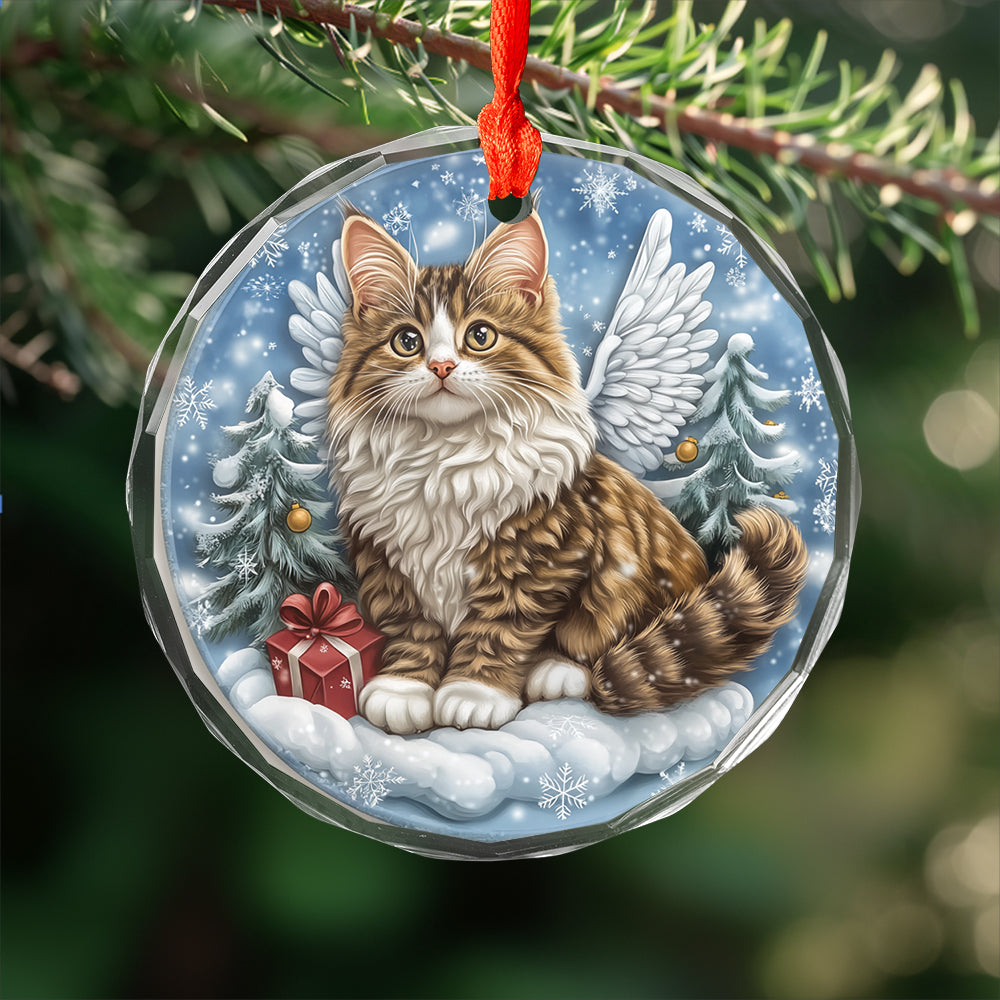 Angel Norwegian Forest Cat 2