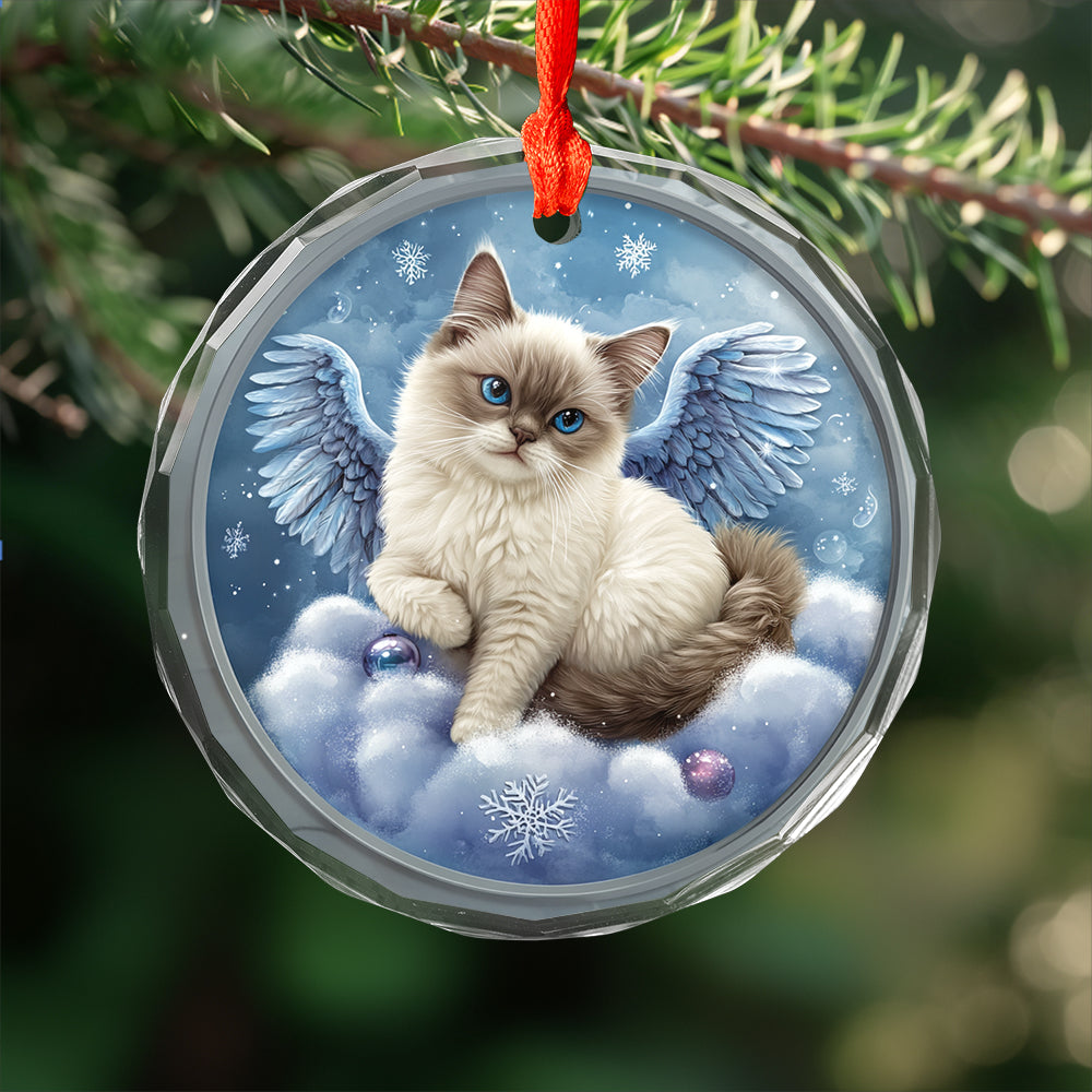 Angel Siamese Cat 1