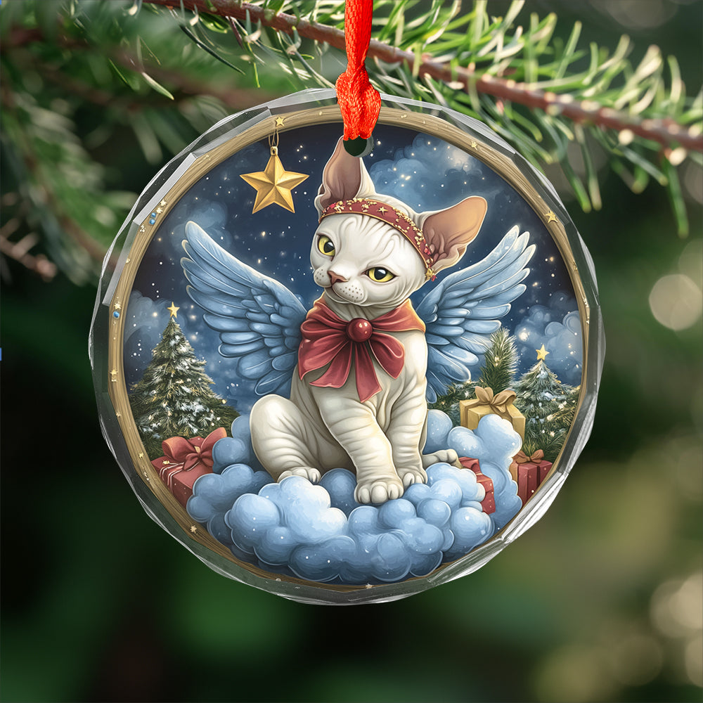 Angel Sphynx Cat 1