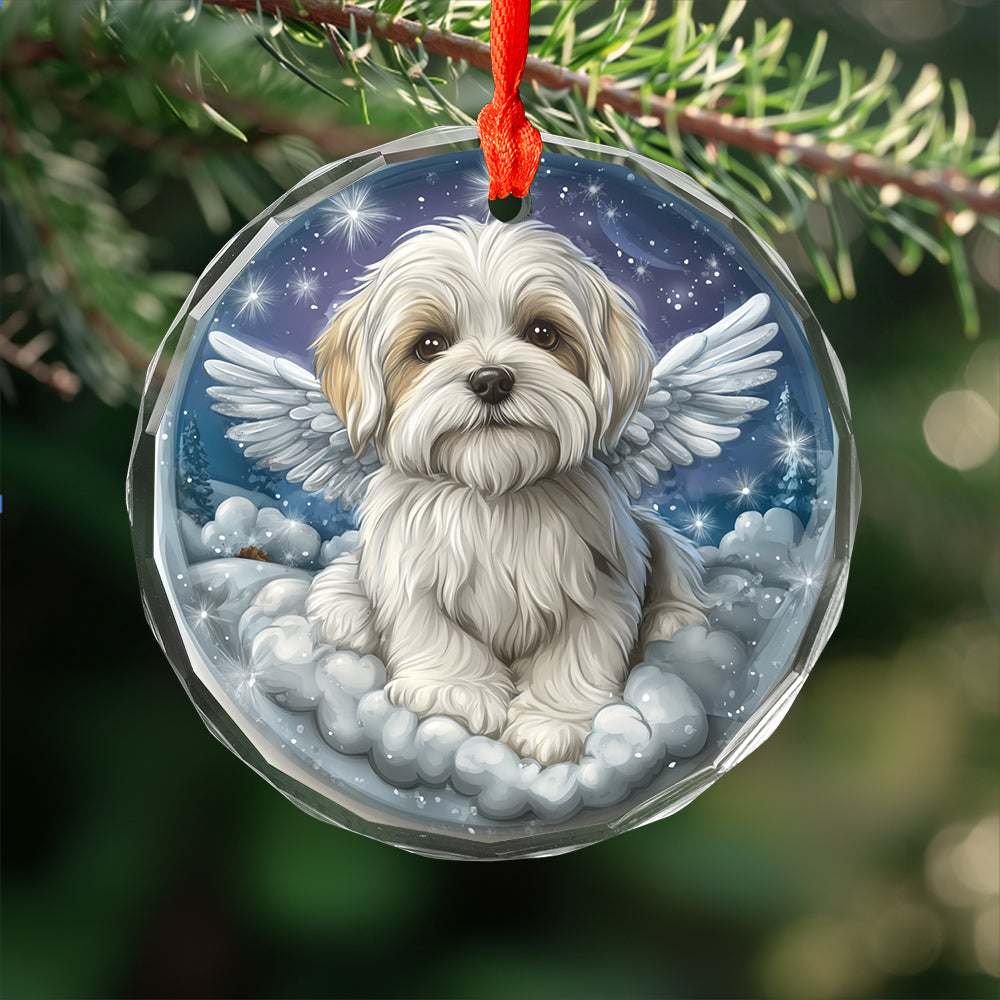 Angel Maltese Dog 4