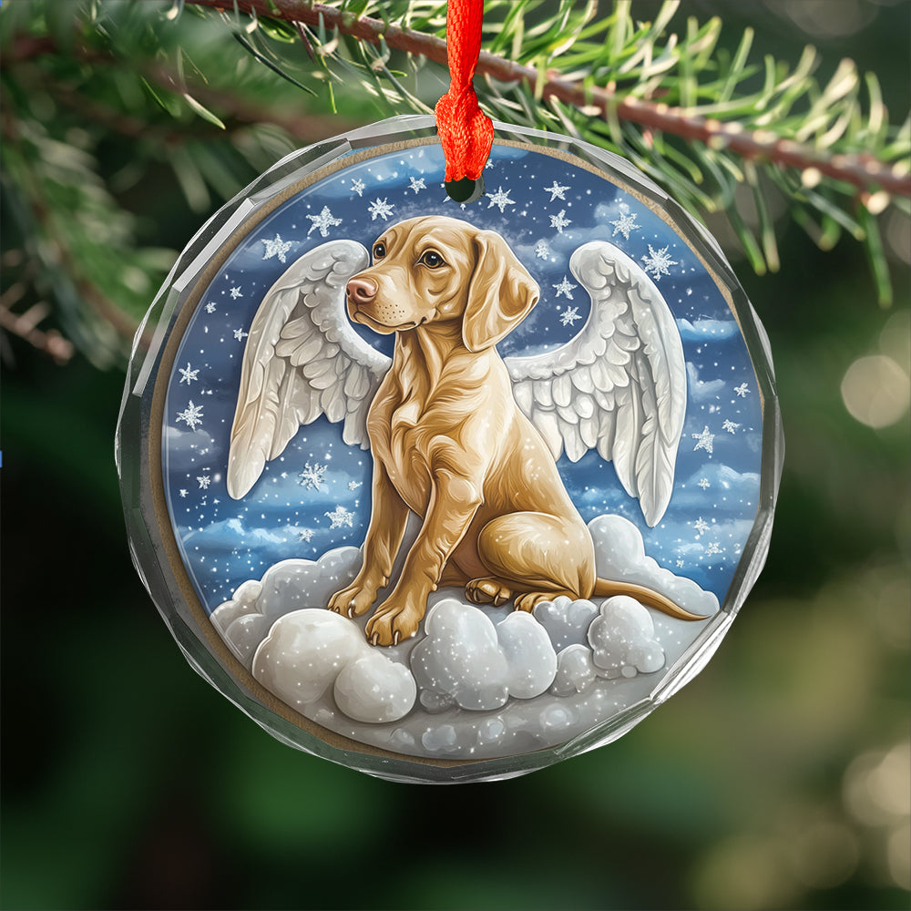 Angel Vizsla Dog 4