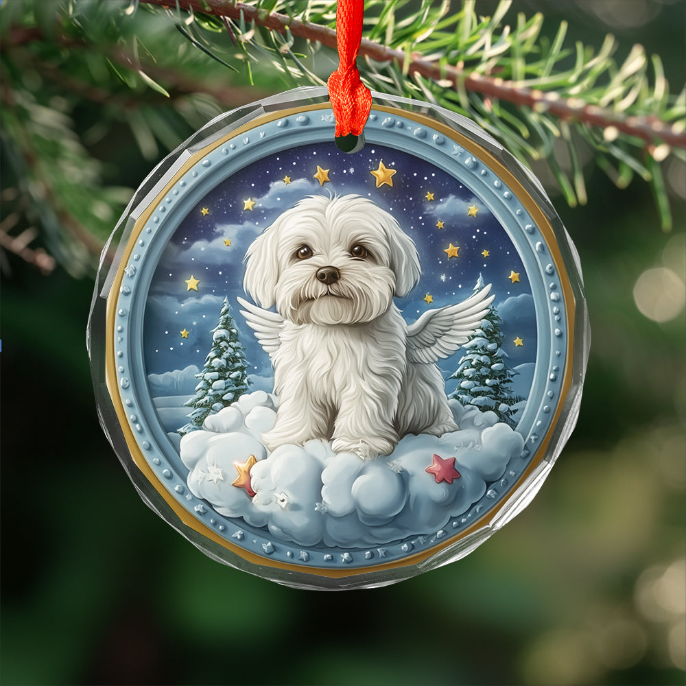 Angel Maltese Dog 1