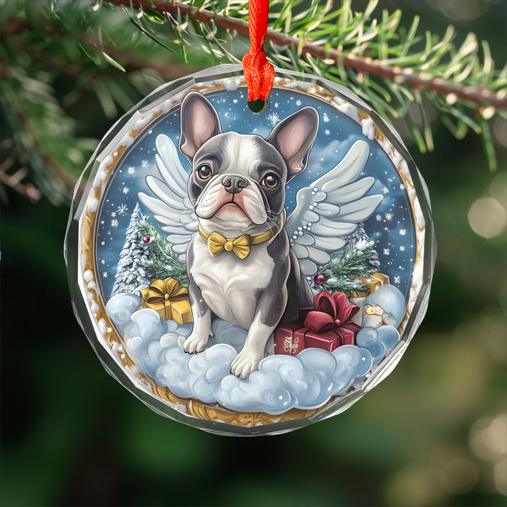 Angel Boston Terrier Dog 4