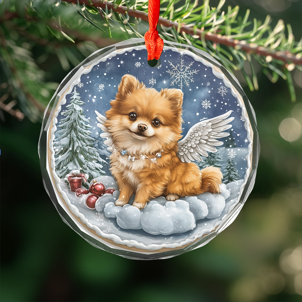 Angel Pomeranian Dog 3