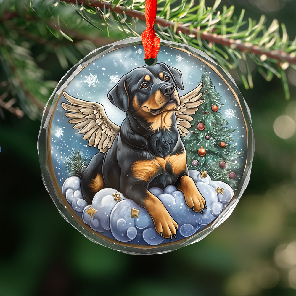 Angel Rottweiler Dog 3