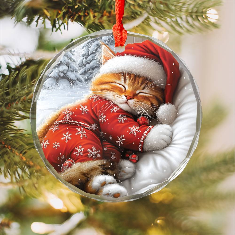 Persian cat Sleeping In Bed Design 2