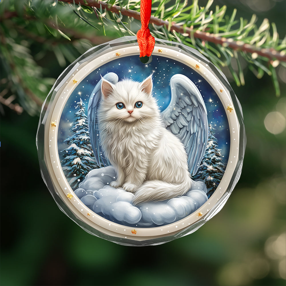 Angel Turkish Angora 2