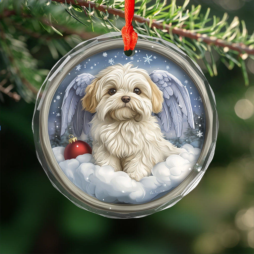 Angel Maltese Dog 3