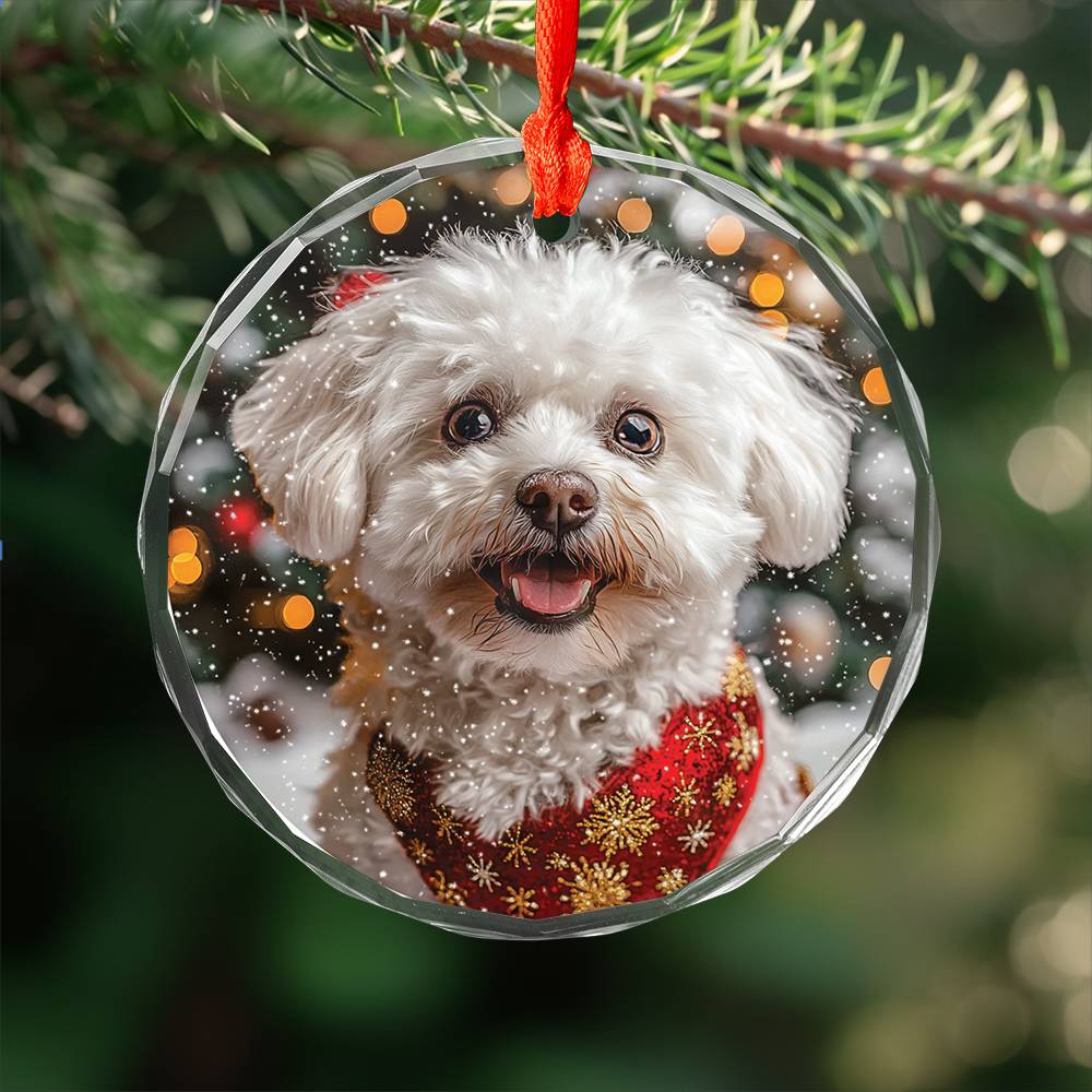 Beautiful Bichon Frise Dog Christmas Night Design 4 Glass Ornament