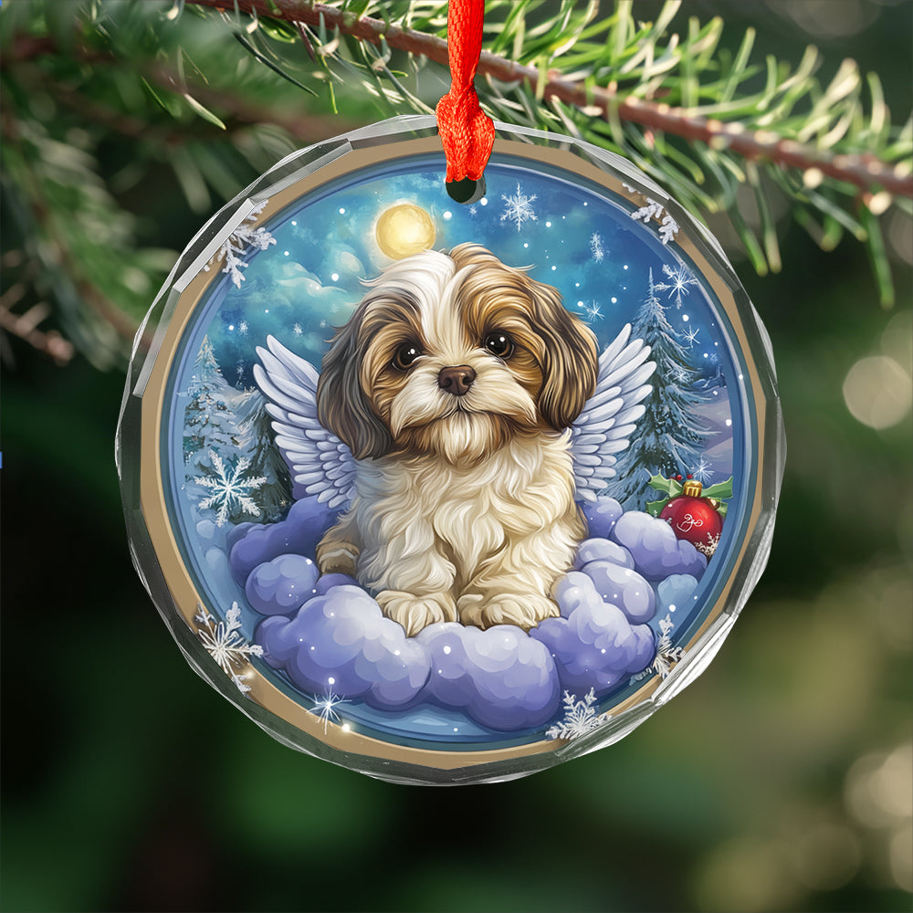 Angel Shih Tzu Dog 1