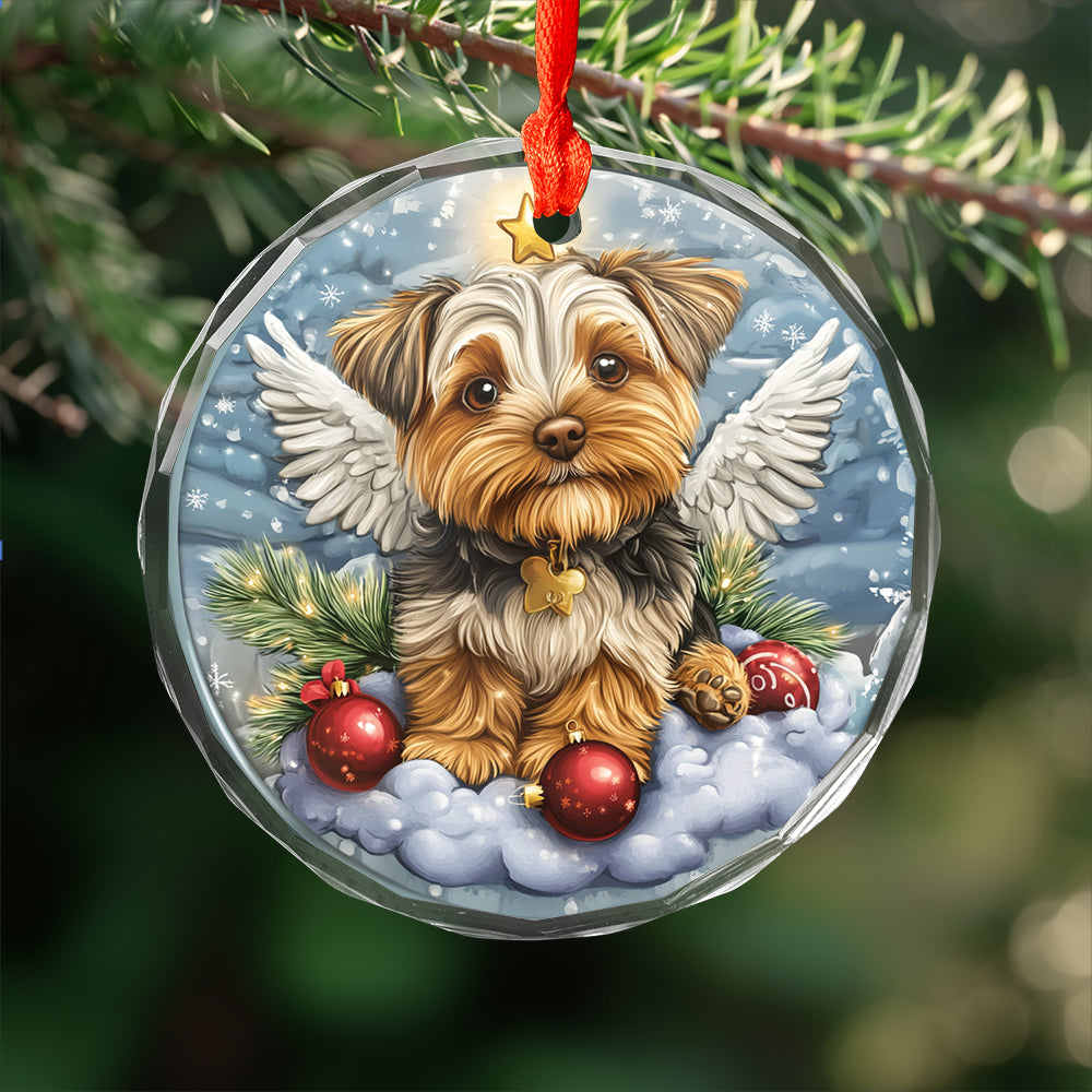 Angel Yorkshire Terrier Dog 3