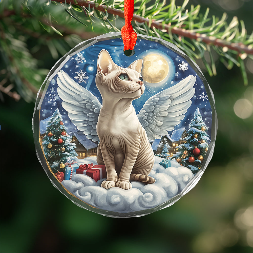Angel Sphynx Cat 4