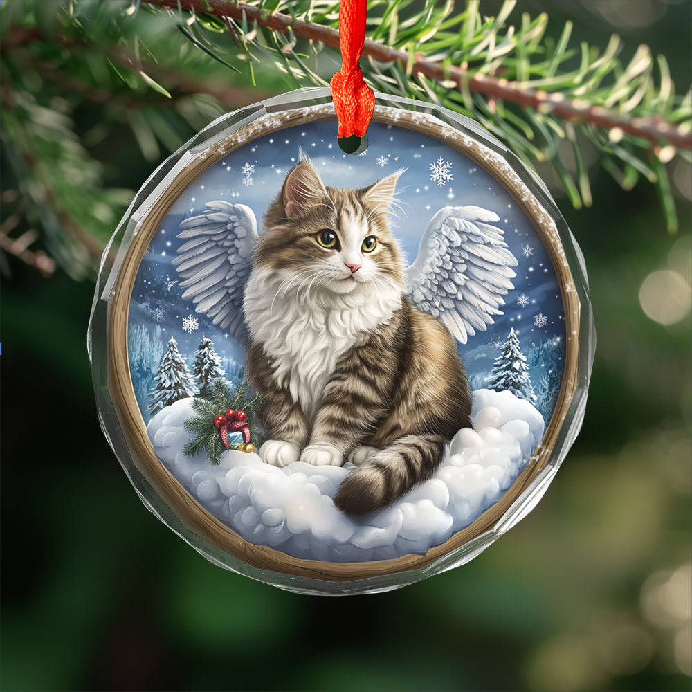 Angel Siberian Cat 2